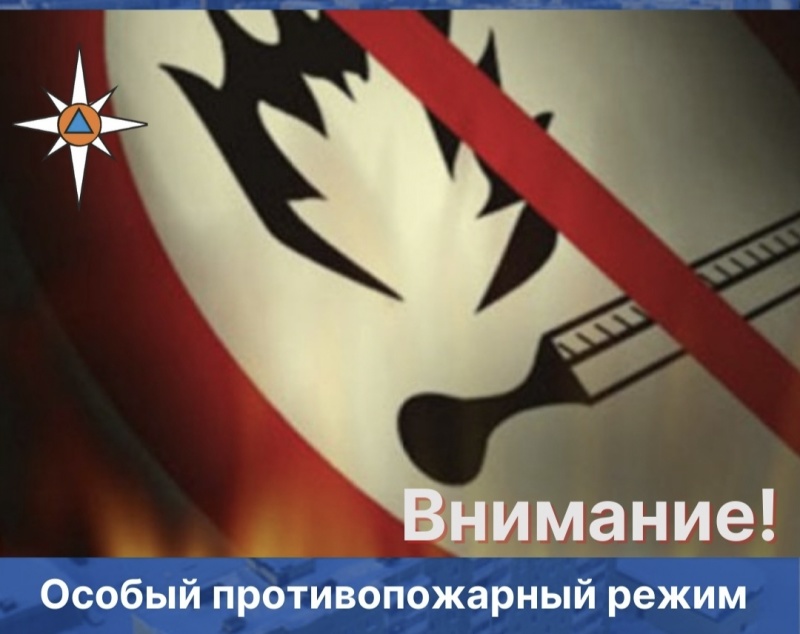 Внимание: на территории Пермского края введен особый противопожарный режим