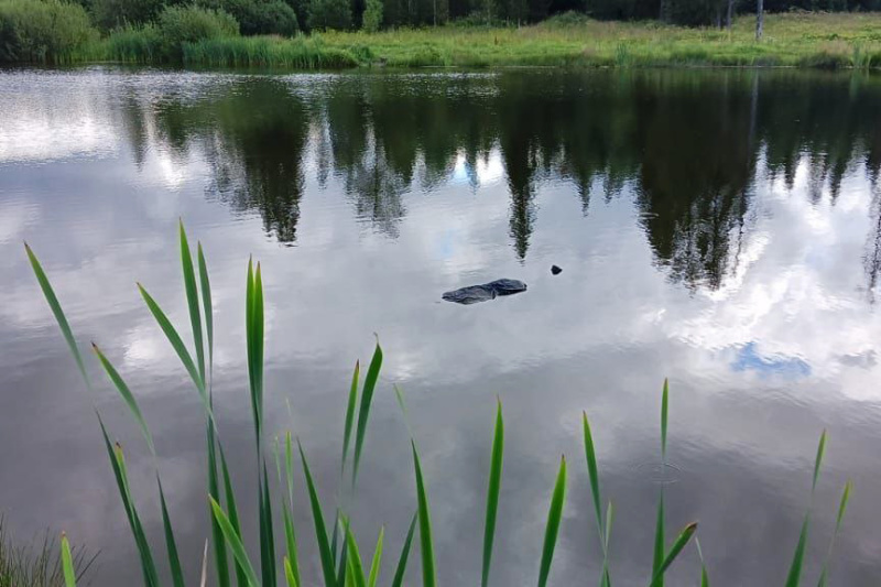 Происшествие на воде в Октябрьском городском округе