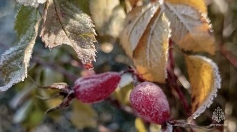 Внимание: по данным Пермского ЦГМС 29 октября в Пермском крае ожидаются неблагоприятные метеорологические явления